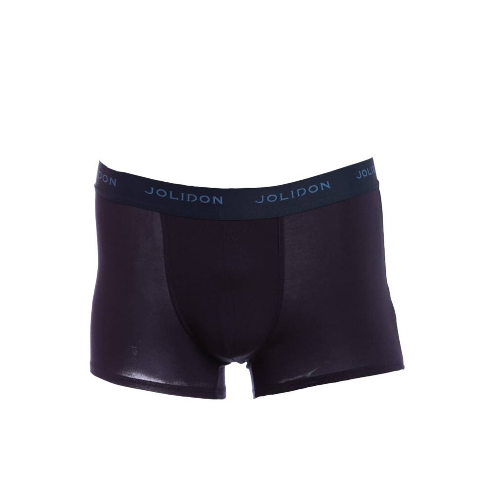 REGULAR FIT BOXERS