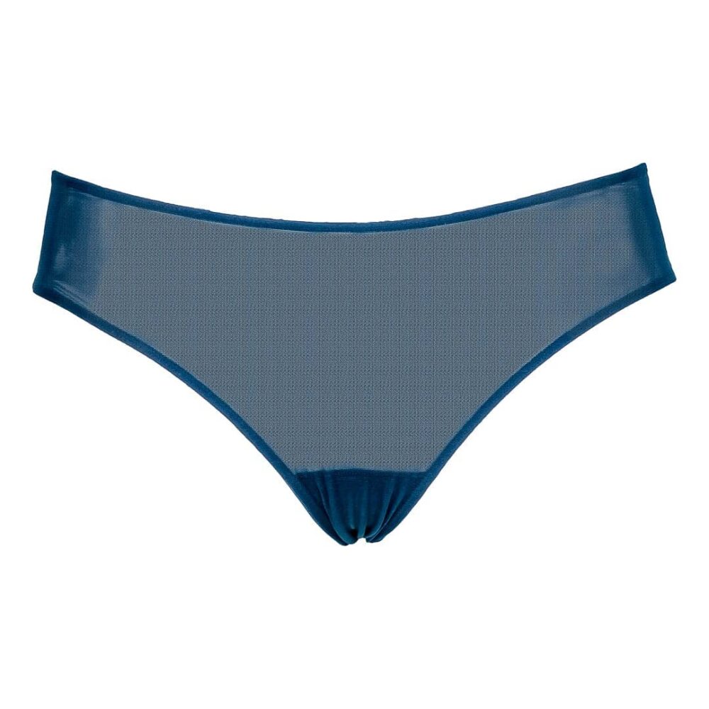Tulle Full Cover Briefs