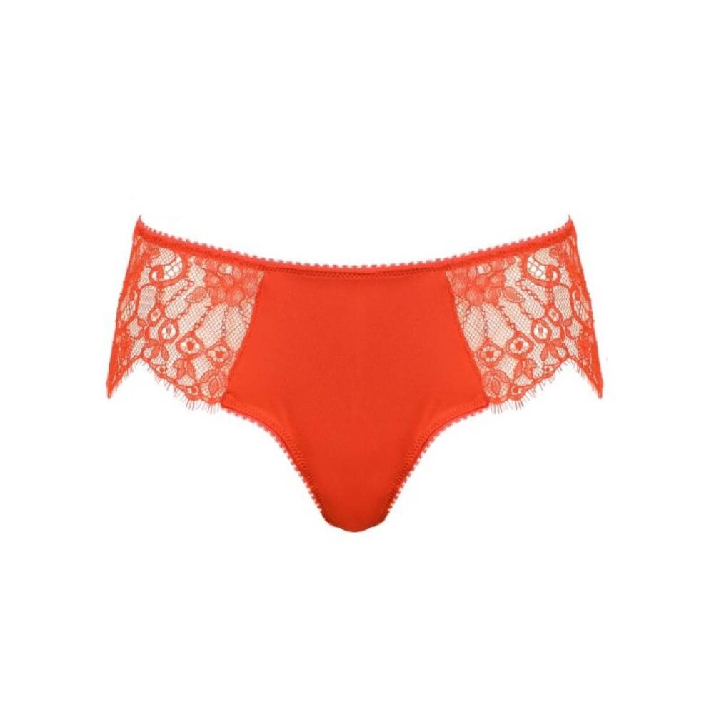 Lace Brazil Briefs