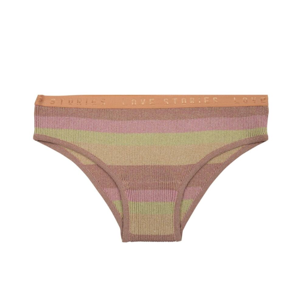 Multicolor Briefs