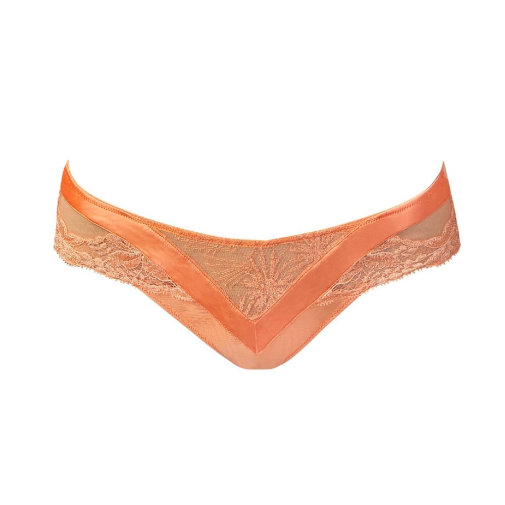 Andraos Silk Rio Briefs