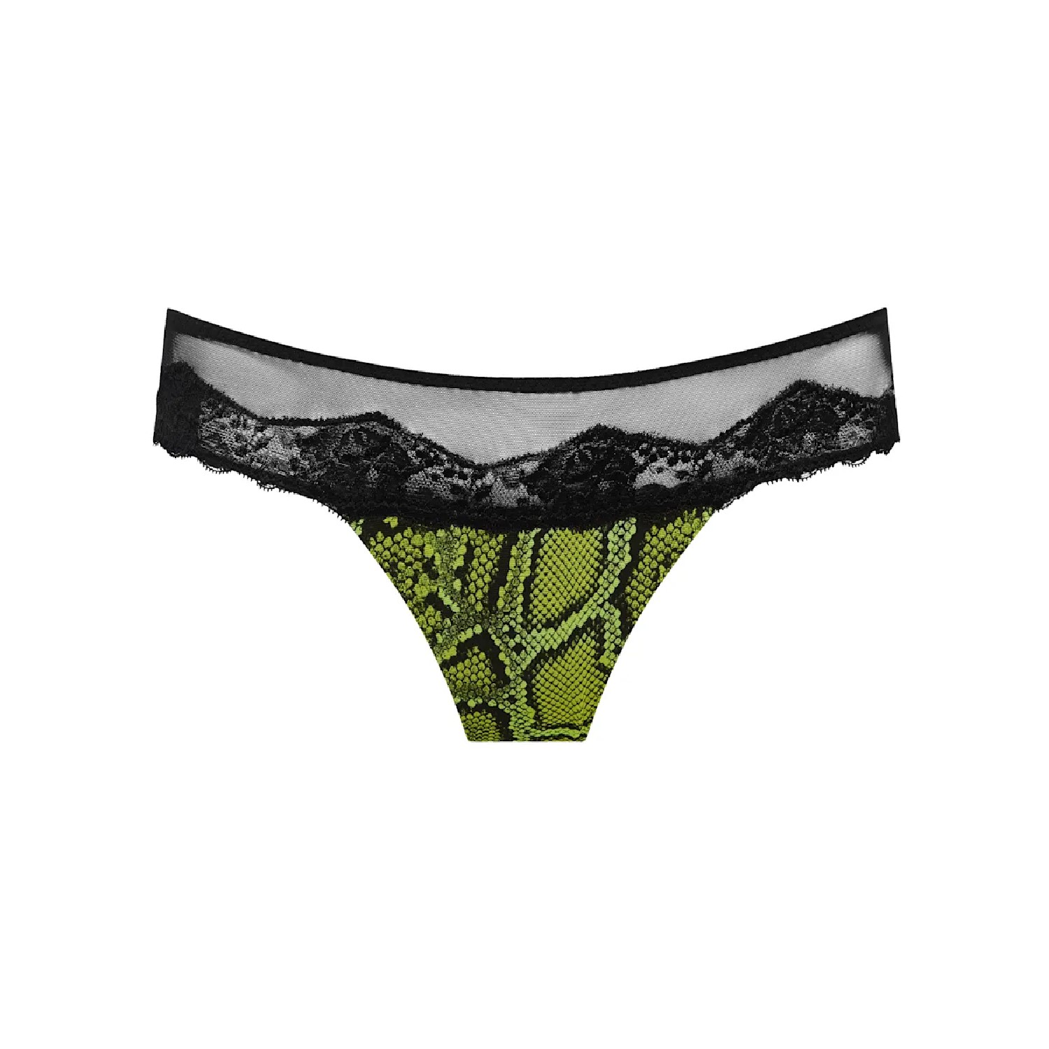 Bremer Thong - Image 6